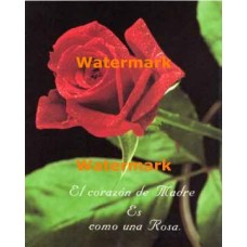 Una Rosa  - #XS11279  -  PRINT
