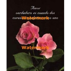 Amor  - XS12636  -  PRINT