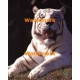 Save The Animals  - #XS15425  -  PRINT