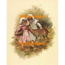 Fawn's First Summer  - XS4975  -  PRINT