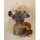 Still Life  - #XS6524  -  PRINT
