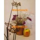 Still Life  - #XS6525  -  PRINT