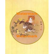 Exploring Cats  - XS6925  -  PRINT