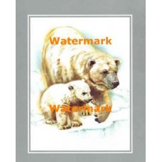 Polar Bear Family  -  #XS8533  -  PRINT