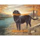 1.  Duck Decoy  - #XS17635  -  PRINT