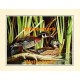 Ducks  - XS14176  -  PRINT
