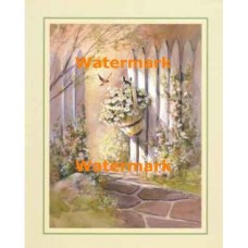 Garden Gate  - XS8642  -  PRINT