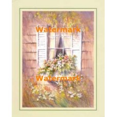 Garden Window  - XS8644  -  PRINT