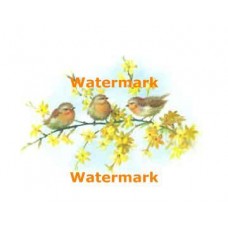 Three Birds  - #XS203  -  PRINT