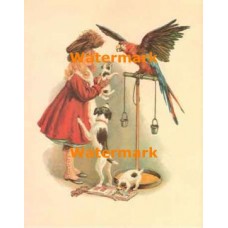 Pet Summit  - #XS2060  -  PRINT
