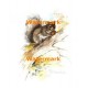 Squirrel  - XS3544  -  PRINT