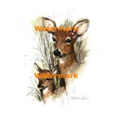 Deer  - XS3547  -  PRINT