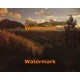 Rolling Hills  - #XS3982  -  PRINT
