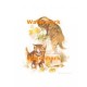 Cats  - XS4062  -  PRINT