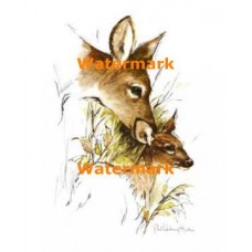 Deer  - XS4409  -  PRINT