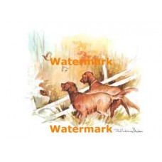 Dogs  - XS5388  -  PRINT