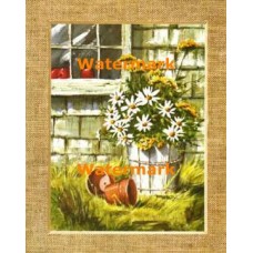 Barrel of Daisies  - XS1512  -  PRINT