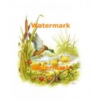 Family  - #XS2589  -  PRINT