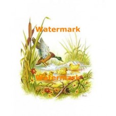 Family  - #XS2589  -  PRINT