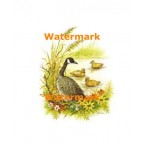 Family  - #XS2590  -  PRINT