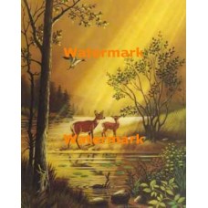1.  Deer  - #XS5091  -  PRINT