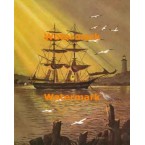 Anchored  - XS5107  -  PRINT