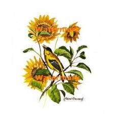 Sunflowers  - XS2542  -  PRINT