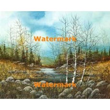 Autumn Creek  - XS3443  -  PRINT