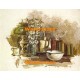 Still Life  - #XS3507  -  PRINT