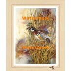 Wood Duck:  Marsh Reed Duckport  - XS12203  -  PRINT