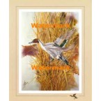 Pintail:  Marsh Reed Duckport  - XS12205  -  PRINT