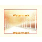 Trees  - #XS6479  -  PRINT