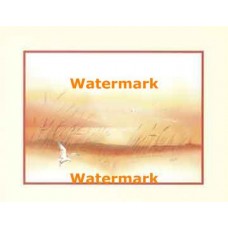 Landing  - #XS6480  -  PRINT