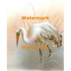 Bird  - XS9296  -  PRINT