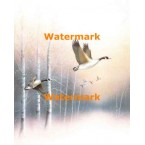 Winter Flight  - #XS9931  -  PRINT