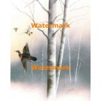 Winter Flight  - #XS9932  -  PRINT