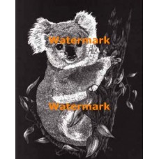 Koala  - #XS4308  -  PRINT