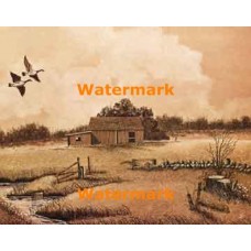 Farm Scene  - XS4621  -  PRINT
