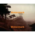 Misty Cypress  - #XS4695  -  PHOTO PRINT