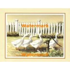 Waterpump Inspection  - #XS10367  -  PRINT