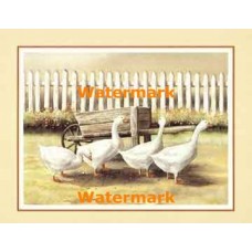 Wheelbarrow Inspection  - #XS10368  -  PRINT