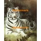Tiger  - #XS14488  -  PRINT