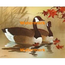 Quiet Moment  - #XS5629  -  PRINT