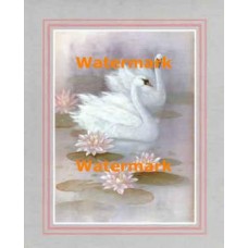 Swans  - #XS7210  -  PRINT