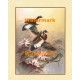 Ducks  - XS9411  -  PRINT