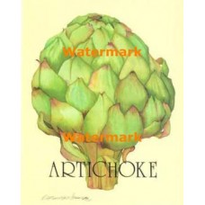 Artichoke  - XS7815  -  PRINT