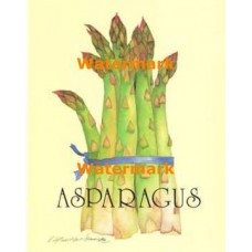 Asparagus  - XS7816  -  PRINT