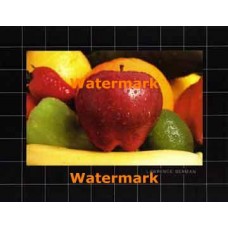 Apple  - #XS7123  -  PRINT