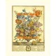 A Study of Flowers  - XS11266  -  PRINT