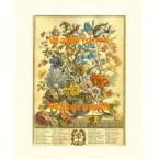 A Study of Flowers  - XS11267  -  PRINT